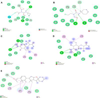 System biology approach to identify the novel biomarkers in glioblastoma multiforme tumors by using computational analysis